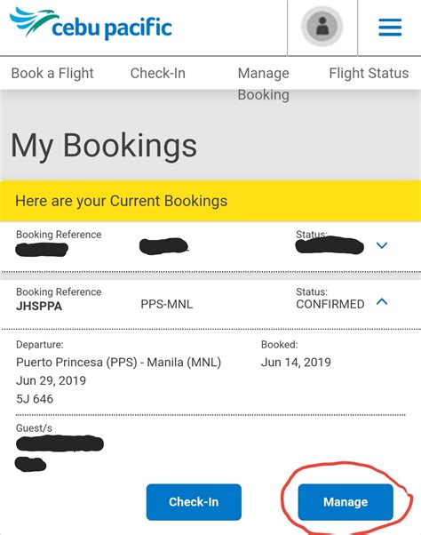 plane ticket to cebu